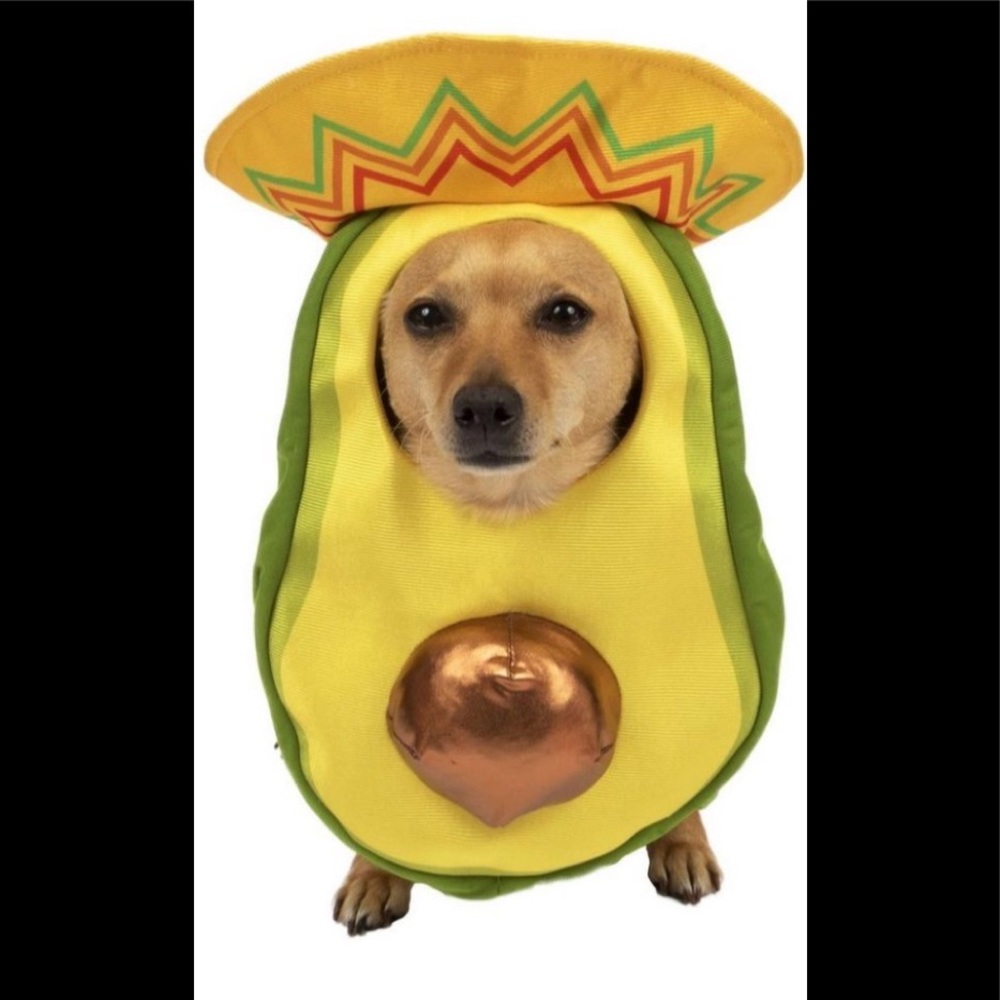 NWOT Avocado Sombrero Costume for Dogs